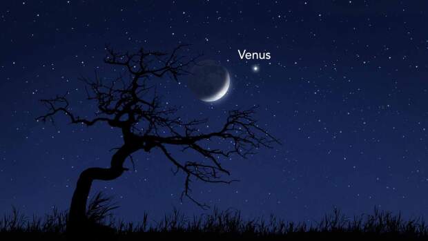 No anoitecer de 18/05, a Lua e Vênus formarão uma das cenas mais bonitas do céu. O fenômeno poderá ser visto a olho nu em todo o Brasil, logo após o pôr do sol, na direção Oeste. (Divulgação)