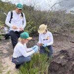Empresa paulista inicia primeira expedição de bioprospecção no único bioma exclusivamente brasileiro, com previsão de isolar até 200 novas cepas de microrganismos de interesse agrícola. (Pesquisa na Caatinga – divulgação