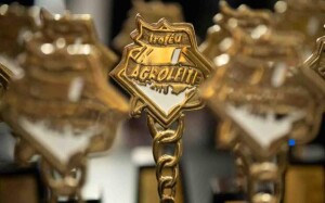 O Troféu Agroleite é considerado o “Oscar” da cadeia do leite, o mais importante reconhecimento do setor leiteiro nacional. (Divulgação)