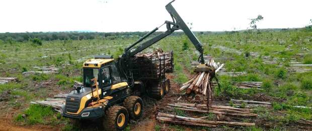 Durante a Expo Minas Florestal, de 19 a 21 de maio, em Sete Lagoas (MG), serão apresentadas tecnologias e inovações à cadeia produtiva da siderurgia verde. Entre os destaques está o modelo 750/55-26.5 Goodyear Timbertrac LS-2, da Titan. (Divulgação)