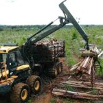 Durante a Expo Minas Florestal, de 19 a 21 de maio, em Sete Lagoas (MG), serão apresentadas tecnologias e inovações à cadeia produtiva da siderurgia verde. Entre os destaques está o modelo 750/55-26.5 Goodyear Timbertrac LS-2, da Titan. (Divulgação)