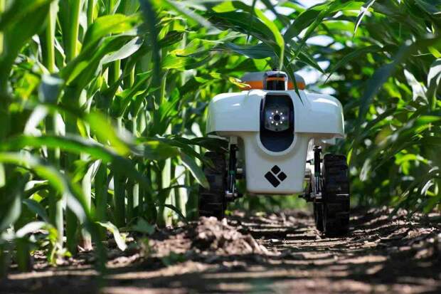 Soluções acessíveis de análise de dados e automação democratizam o campo, otimizam o uso de insumos e garantem rentabilidade frente à volatilidade do mercado. (Imagem: Reprodução – Digital-Agro)