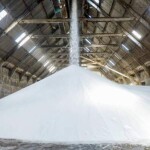 Unidade da Petrobras em Camaçari volta a operar após anos de paralisação e integra estratégia do governo para reduzir dependência externa do setor. (Foto: PR/Divulgação)
