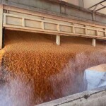 Investimento de R$ 4,2 milhões reduz déficit crônico de armazenagem na região e ajuda a ampliar oferta de proteína animal barateando o preço do grão para ração. (Foto: Catiana de Medeiros - Conab)