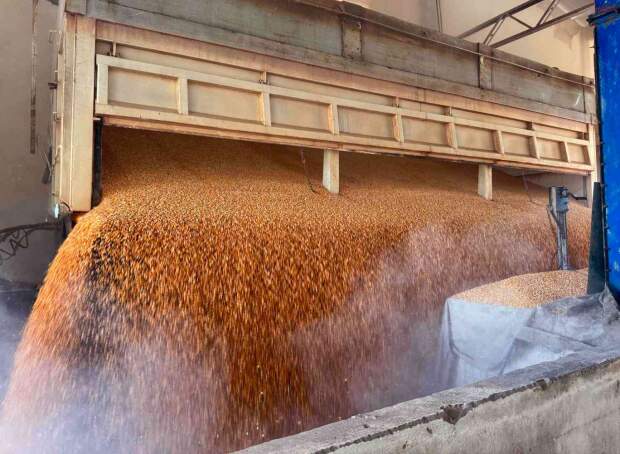 Investimento de R$ 4,2 milhões reduz déficit crônico de armazenagem na região e ajuda a ampliar oferta de proteína animal barateando o preço do grão para ração. (Foto: Catiana de Medeiros - Conab)