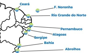 recuperação de corais