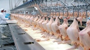 Volume embarcado em maio é o maior já registrado para o mês; desempenho ocorre mesmo diante dos desafios enfrentados no Estreito de Ormuz. (Agência Notícias-Paraná)