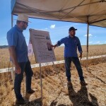 Os pesquisadores Ângelo Sussel (Embrapa Cerrados) e Jorge Chagas (Embrapa Trigo) apresentaram características da cultivar e recomendações de manejo. (Foto: Breno Lobato)