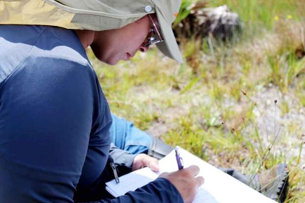 Iniciativa, voltada a mestrandos e doutorandos brasileiros recebe cadastros até 31 de julho, e conta com a parceria do Programa Fonseca de Liderança, criado pelo Fundo Global para o Meio Ambiente (GEF). (Foto: Catherine Rios Santos / Divulgação)