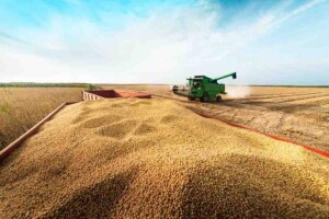Se indústria acompanhasse plantio no Brasil, qualidade de vida em pequenas cidades aumentaria no mínimo 20%. Modelo de planejamento urbano específico para essas regiões seria a solução. Em um estudo de caso na Bahia, cada real investido pode gerar um retorno até 2,4 vezes maior. (Foto: Fazendas MATOPIBA )