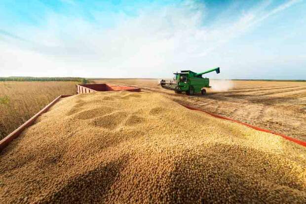 Se indústria acompanhasse plantio no Brasil, qualidade de vida em pequenas cidades aumentaria no mínimo 20%. Modelo de planejamento urbano específico para essas regiões seria a solução. Em um estudo de caso na Bahia, cada real investido pode gerar um retorno até 2,4 vezes maior. (Foto: Fazendas MATOPIBA )