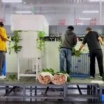 O segmento HF serão destaque na exposição que espera receber em Holambra 32 mil produtores e profissionais de agrobusiness. (Foto: Focusight Technology Co).