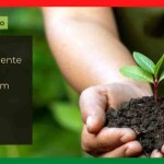 A economia da natureza começa a ocupar espaço estratégico nos debates sobre crescimento, competitividade e desenvolvimento. (Divulgação)