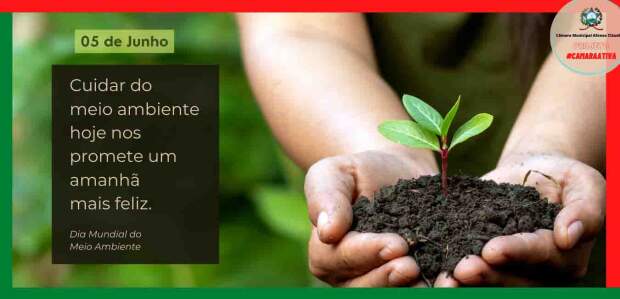 A economia da natureza começa a ocupar espaço estratégico nos debates sobre crescimento, competitividade e desenvolvimento. (Divulgação)