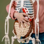 Referências mundiais da nefrologia e imunologia reunem-se para discutir avanços científicos e compartilhar experiências sobre quadros clínicos desafiadores. (Crédito: Divulgação)