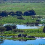 Maior planície alagada do mundo está sendo afetada negativamente pelas atividades humanas e pelas mudanças climáticas; níveis de precipitação não têm sido suficientes para recuperar o estoque hídrico do bioma, aponta pesquisa. (Travessia do Rio Paraguai, no Mato Grosso do Sul / Crédito: Wikimedia Commons)