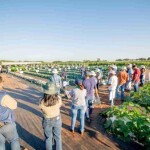 Soluções integradas para aumentar a resiliência dos cultivos estiveram no centro das demonstrações a campo realizadas na 3ª edição da Hortinov. (Divulgação - Hortinov 2026).