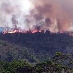 Fazendas de pesquisa da agricultura não têm orçamento para enfrentar clima hostil; no Meio Ambiente, quantidade de brigadistas é insuficiente para proteger áreas. (APqC / Reprodução)