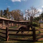 A participação do Haras do Passo ocorre em um momento de fortalecimento dos condomínios equestres no mercado imobiliário brasileiro. (Divulgação Grupo Katz)