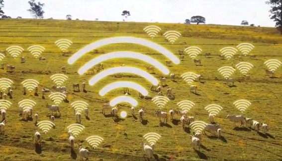 Plataforma pioneira une beacons, gateways, inteligência de dados, algoritmos avançados e nuvem. (Divulgação)