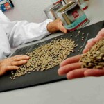 Iniciativa da illycaffè e da Experimental Agrícola do Brasil passa a contar com categorias específicas para cooperativas e grandes agentes comerciais, classificadores independentes e novos participantes. (Divulgação)
