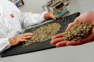 Iniciativa da illycaffè e da Experimental Agrícola do Brasil passa a contar com categorias específicas para cooperativas e grandes agentes comerciais, classificadores independentes e novos participantes. (Divulgação)