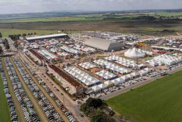 O volume fica atrás apenas do recorde absoluto de 2025, de R$ 969 milhões, e ultrapassa os R$ 520 milhões alcançados em 2024. (Castrolanda / Divulgação) O volume fica atrás apenas do recorde absoluto de 2025, de R$ 969 milhões, e ultrapassa os R$ 520 milhões alcançados em 2024. (Castrolanda / Divulgação)