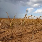 Intensificação do fenômeno ao longo do segundo semestre irá repercutir na agricultura, na geração de energia e na saúde da população. (Imagem ilustrativa: criada com auxílio de IA / divulgação Oeste)