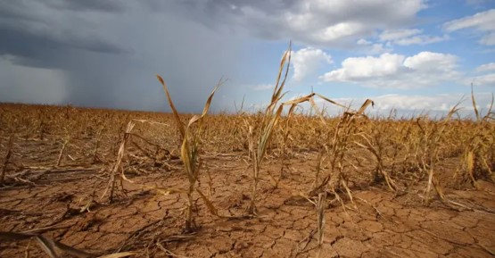 Intensificação do fenômeno ao longo do segundo semestre irá repercutir na agricultura, na geração de energia e na saúde da população. (Imagem ilustrativa: criada com auxílio de IA / divulgação Oeste)