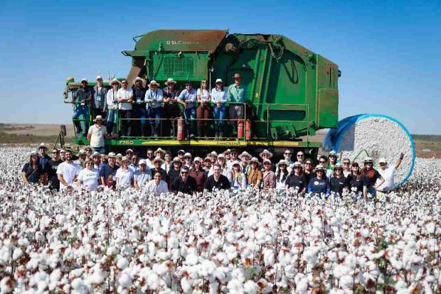 Iniciativa realizada desde 2015 adota novo formato em 2026, com duas rodadas de imersão e participação ampliada de marcas, varejistas, ONGs e institutos de pesquisa. (Foto: divulgação Abrapa)