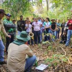 Iniciativa capacitou mais de 200 pessoas em agricultura regenerativa, apoiou 30 produtores rurais e consolidou bases para ganho de escala na região. (Crédito: TNC Brasil)