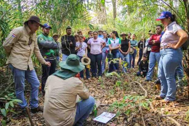 Iniciativa capacitou mais de 200 pessoas em agricultura regenerativa, apoiou 30 produtores rurais e consolidou bases para ganho de escala na região. (Crédito: TNC Brasil)