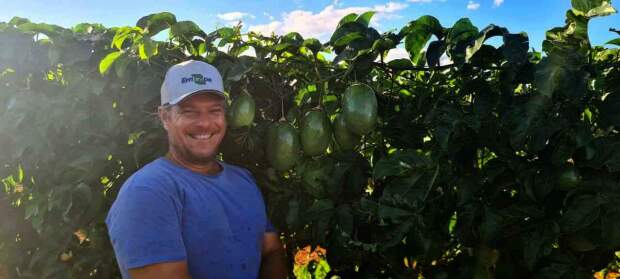 Raul Carriello Rosa, pesquisador na Empresa Brasileira de Pesquisa Agropecuária (Foto: Embrapa)