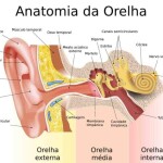 Sensação constante de pressão, estalos e audição abafada nem sempre indicam excesso de cera. Especialista explica quando os sintomas merecem investigação. (Pesquisa Google / reprodução)