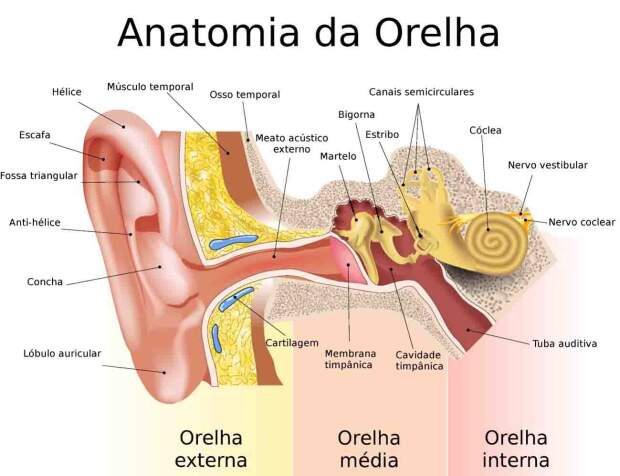 Sensação constante de pressão, estalos e audição abafada nem sempre indicam excesso de cera. Especialista explica quando os sintomas merecem investigação. (Pesquisa Google / reprodução)
