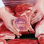 Embarques geraram US$ 298,3 milhões no mês; no acumulado do ano, volume avançou 9,1% e receita cresceu 5,8%. (Reprodução Google)
