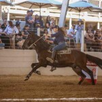 Evento, que termina neste domingo (20), promovido pela ABCCMM, vai oferecer mais de R$ 100 mil em premiações, shows, leilão de animais e atrações para toda a família. (Divulgação)
