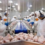 Receita se aproxima de US$ 1 bilhão no mês; no acumulado de 2026, embarques avançam 15,5%. (Divulgação ASGAV/SIPARGS)