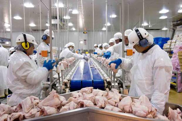 Receita se aproxima de US$ 1 bilhão no mês; no acumulado de 2026, embarques avançam 15,5%. (Divulgação ASGAV/SIPARGS)