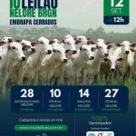 O 10º Leilão Nelore BRGN da Embrapa Cerrados integra a programação da 34ª Exposição Agropecuária de Brasília - Expoabra 2026, feira agropecuária realizada até 13 de setembro.