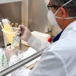 O método permite o uso de um meio de cultura com pH mais adequado ao crescimento da Mycobacterium tuberculosis, principal agente causador da doença. (Foto: Rubens Neiva)