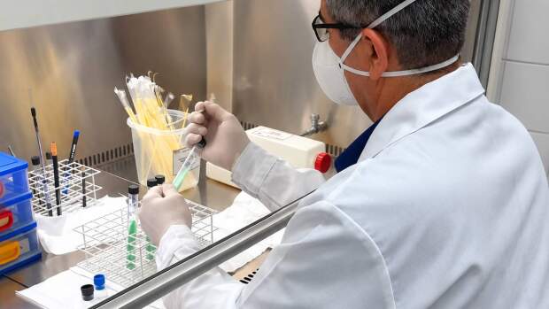 O método permite o uso de um meio de cultura com pH mais adequado ao crescimento da Mycobacterium tuberculosis, principal agente causador da doença. (Foto: Rubens Neiva)