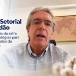 Produtores debatem mercado da fibra brasileira