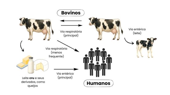 Transferência de tecnologia