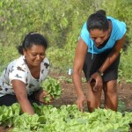 Celebrado em 15 de outubro, data foi criada para reconhecer a contribuição das mulheres para a produção de alimentos, o desenvolvimento econômico e a sustentabilidade das comunidades agrícolas. (Divulgação)