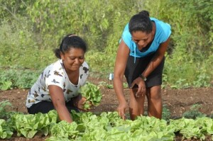 Celebrado em 15 de outubro, data foi criada para reconhecer a contribuição das mulheres para a produção de alimentos, o desenvolvimento econômico e a sustentabilidade das comunidades agrícolas. (Divulgação)