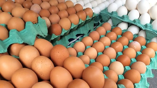 Brasil é o quinto maior produtor mundial de ovos, segundo a Associação Brasileira de Proteína Animal (ABPA). Em 2025, o segmento registrou Valor Bruto da Produção de R$ 29,2 bilhões. (Freepik)