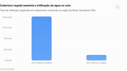 Imagem5