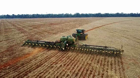 A semente depositada na profundidade e no espaçamento exatos promove germinação uniforme e reduz a competição entre plantas por água, luz e nutrientes. (Divulgação)