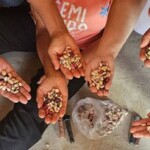 Implantação do campo de multiplicação realizado pela COPPABACS em Delmiro Gouveia, Alagoas -na comunidade de Terra do Sol. (Foto: Gabrielly Targino)